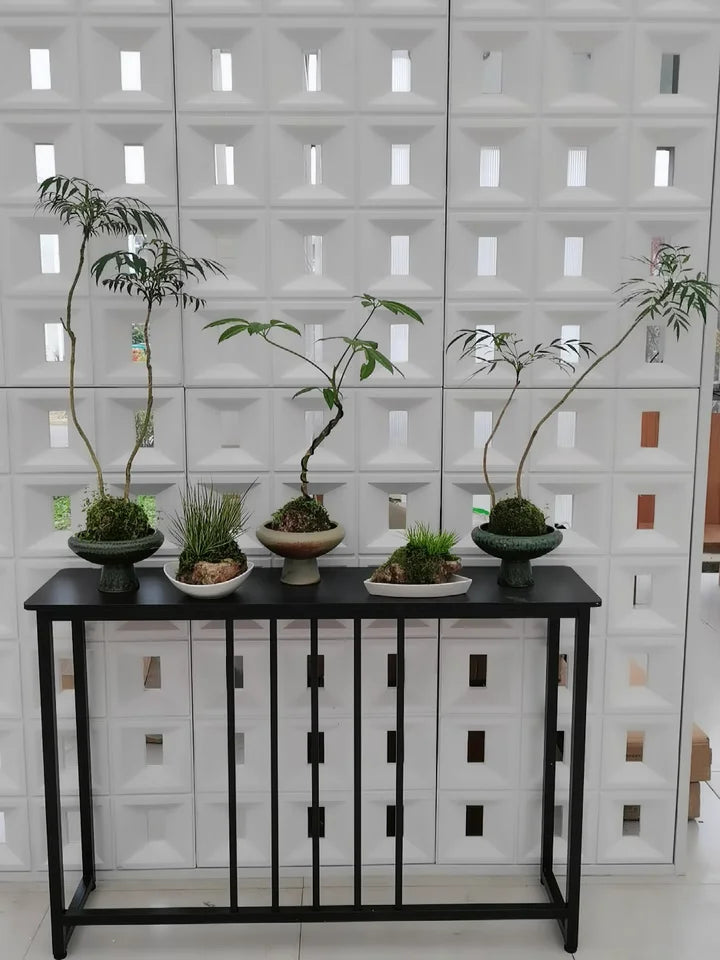 Modern Home Console Table High-looking and Light Luxury Storage Display Shelf Narrow Table for Hallway Entryway Living Room